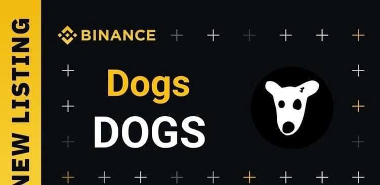 تاریخ دقیق لیست شدن Dogs داگز