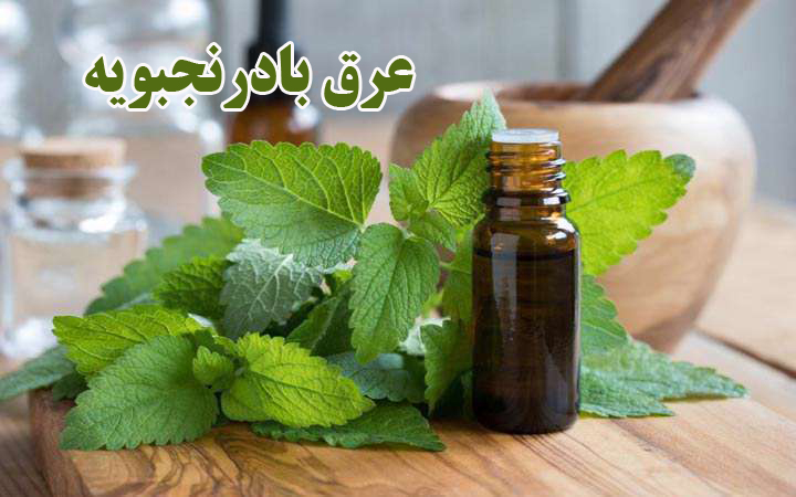 نکات مهم در مصرف عرق بادرنجبویه و خواص آن