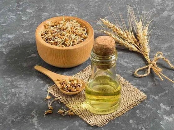 کاربرد روغن جوانه نخود در طب سنتی و خواص آن