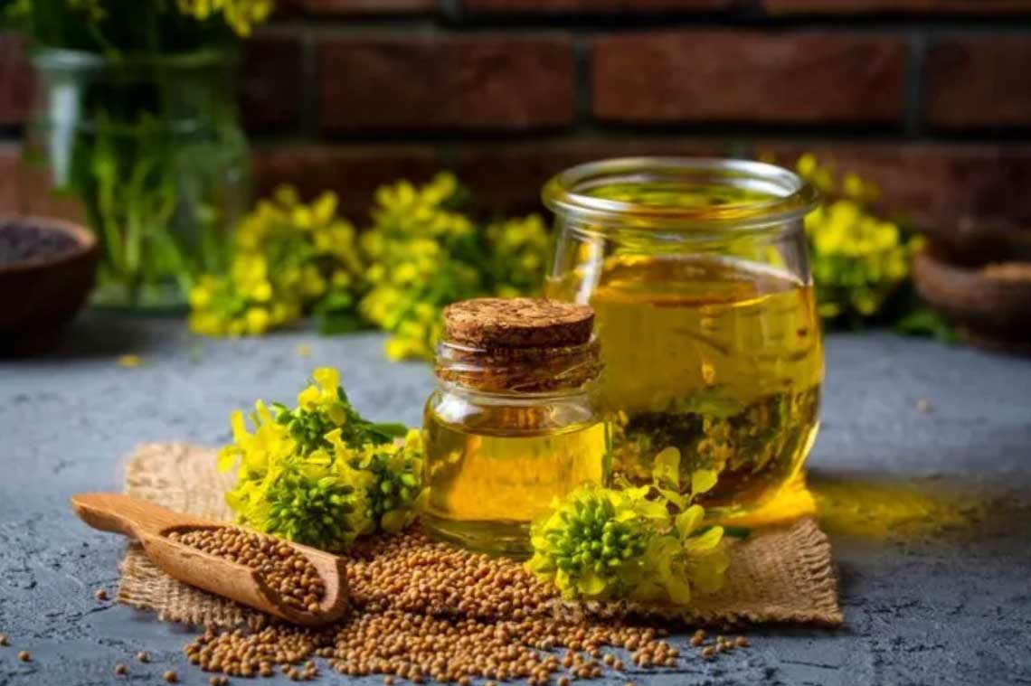 کاربرد روغن کانولا در طب سنتی