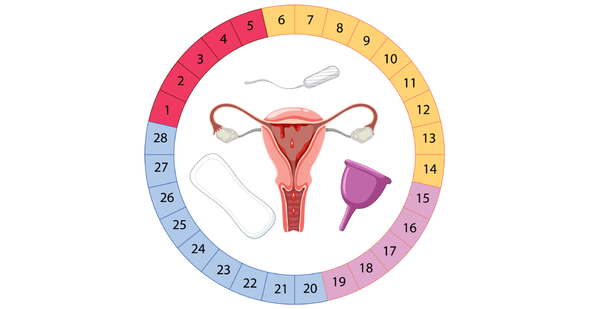 دوران قاعدگی و چرخه طبیعی زندگی زنان
