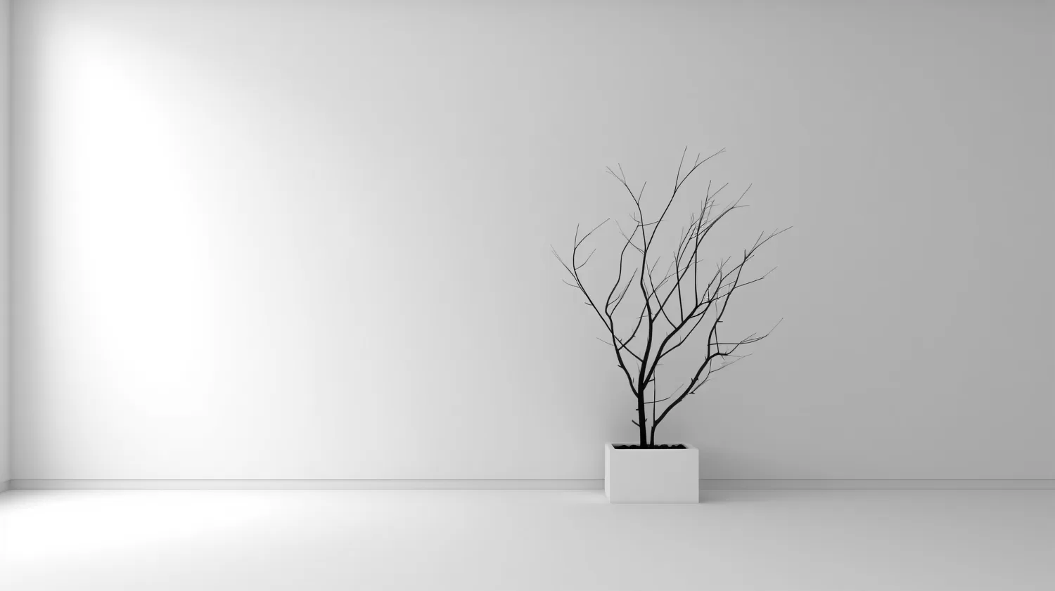 تأثیر رنگ سفید بر روحیه: نماد پاکی و آرامش