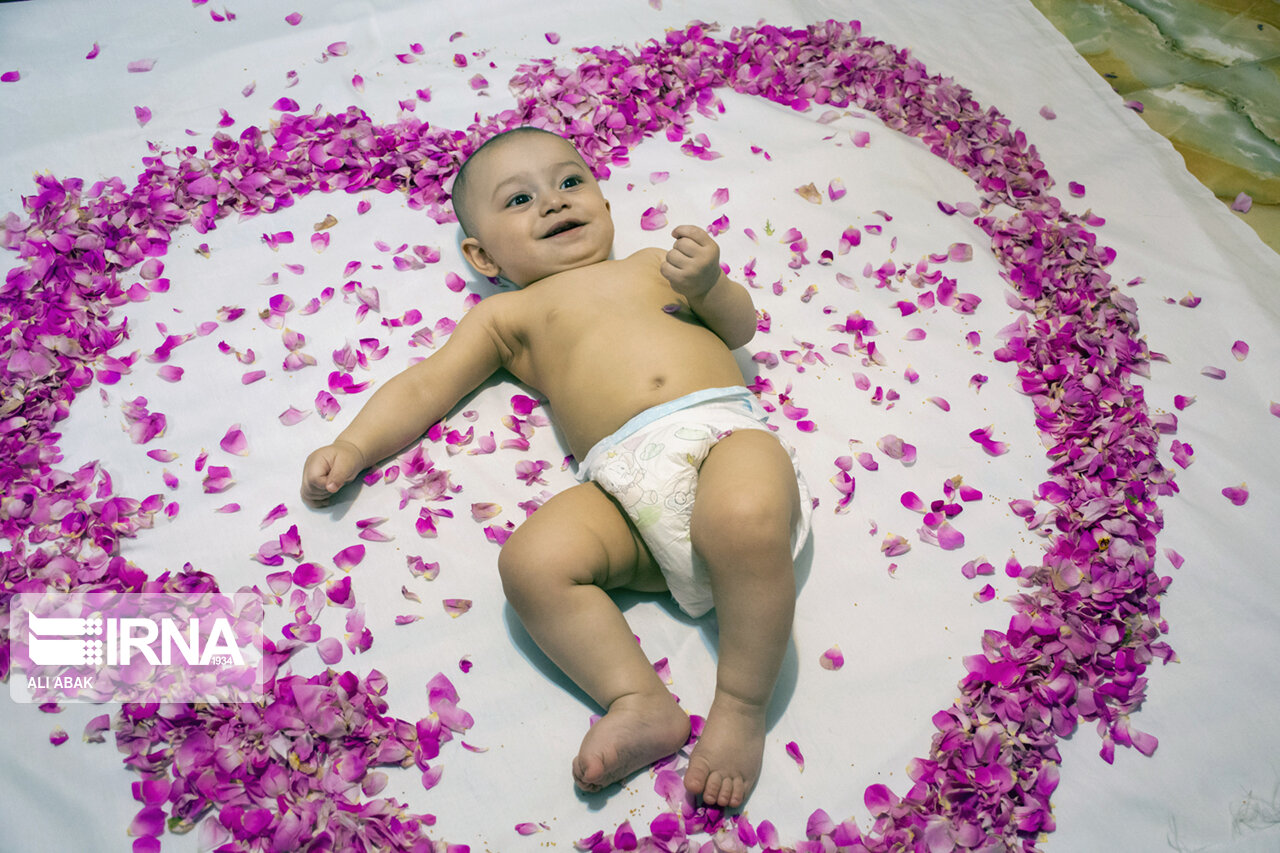 🌹 «گل‌چینان تا گل‌غلتان»؛ پاسداشت دومین میراث معنوی ایران در دامغان