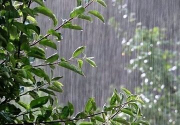 🌧️ آذربایجان‌شرقی بارانی است/ ادامه بارش‌ها تا سه‌شنبه