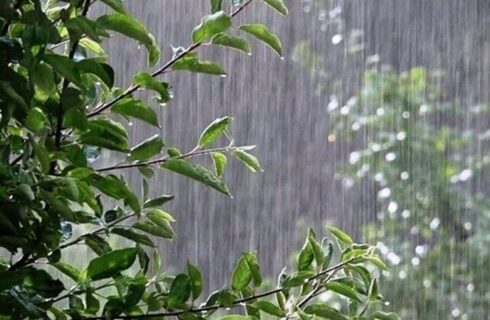 🌧️ آذربایجان‌شرقی بارانی است/ ادامه بارش‌ها تا سه‌شنبه