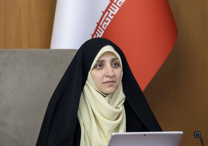 برنامه اقدام ملی کسب و کار خانگی زنان تدوین می‌شود