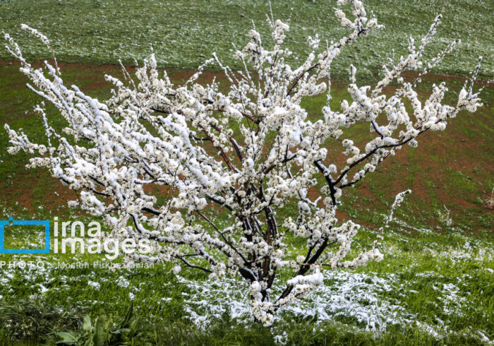 🌧️ دریاچه ارومیه؛ پرباران‌ترین حوضه آبریز کشور در هفته جاری