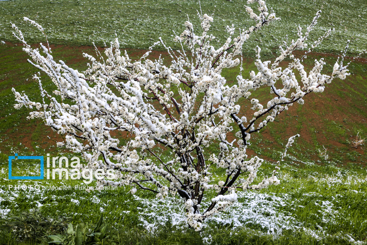 🌧️ دریاچه ارومیه؛ پرباران‌ترین حوضه آبریز کشور در هفته جاری