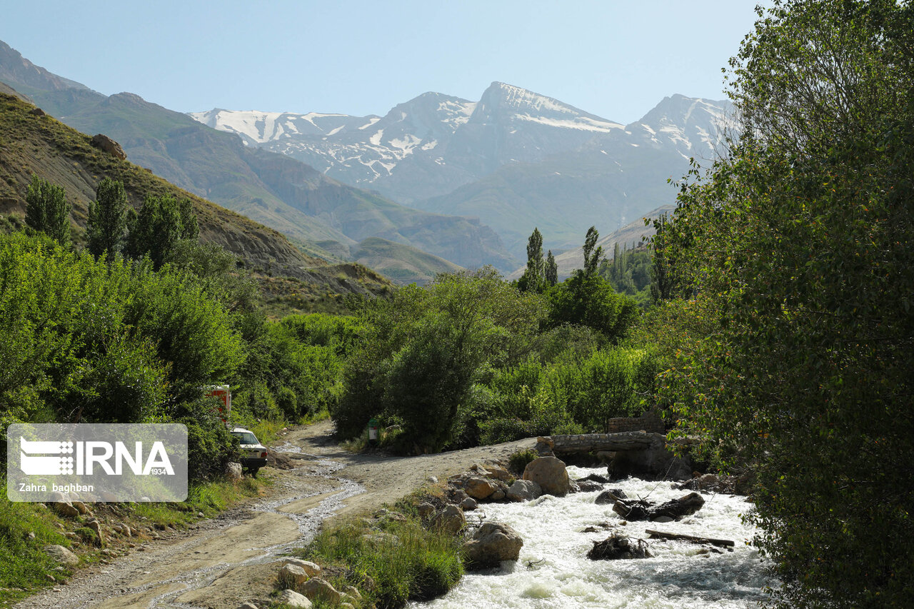 استان مرکزی زاگرسی شد؛ گامی مهم در حفظ جنگلها و توسعه پایدار