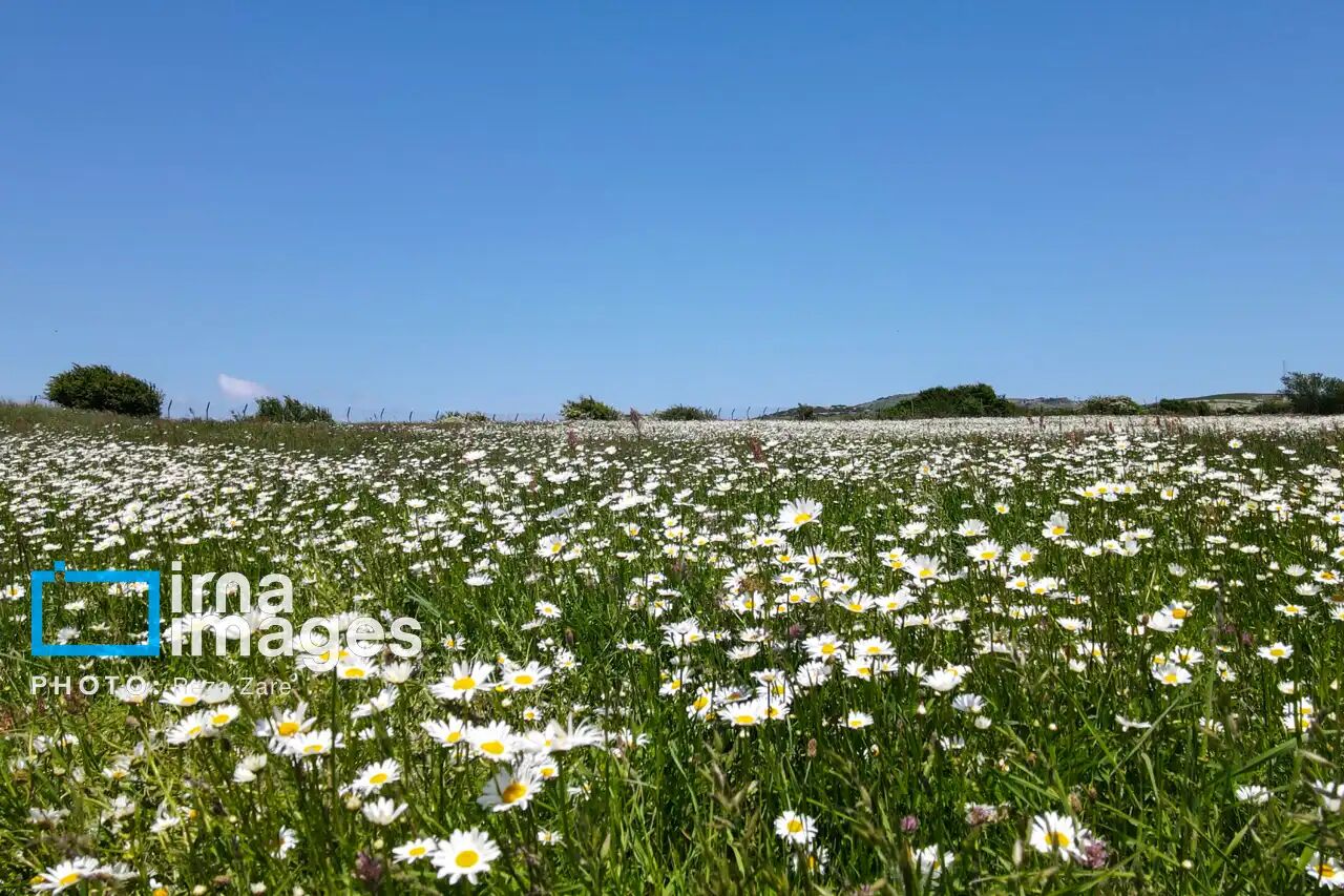 🌤️ پیشبینی وضعیت هوای مازندران تا پایان هفته