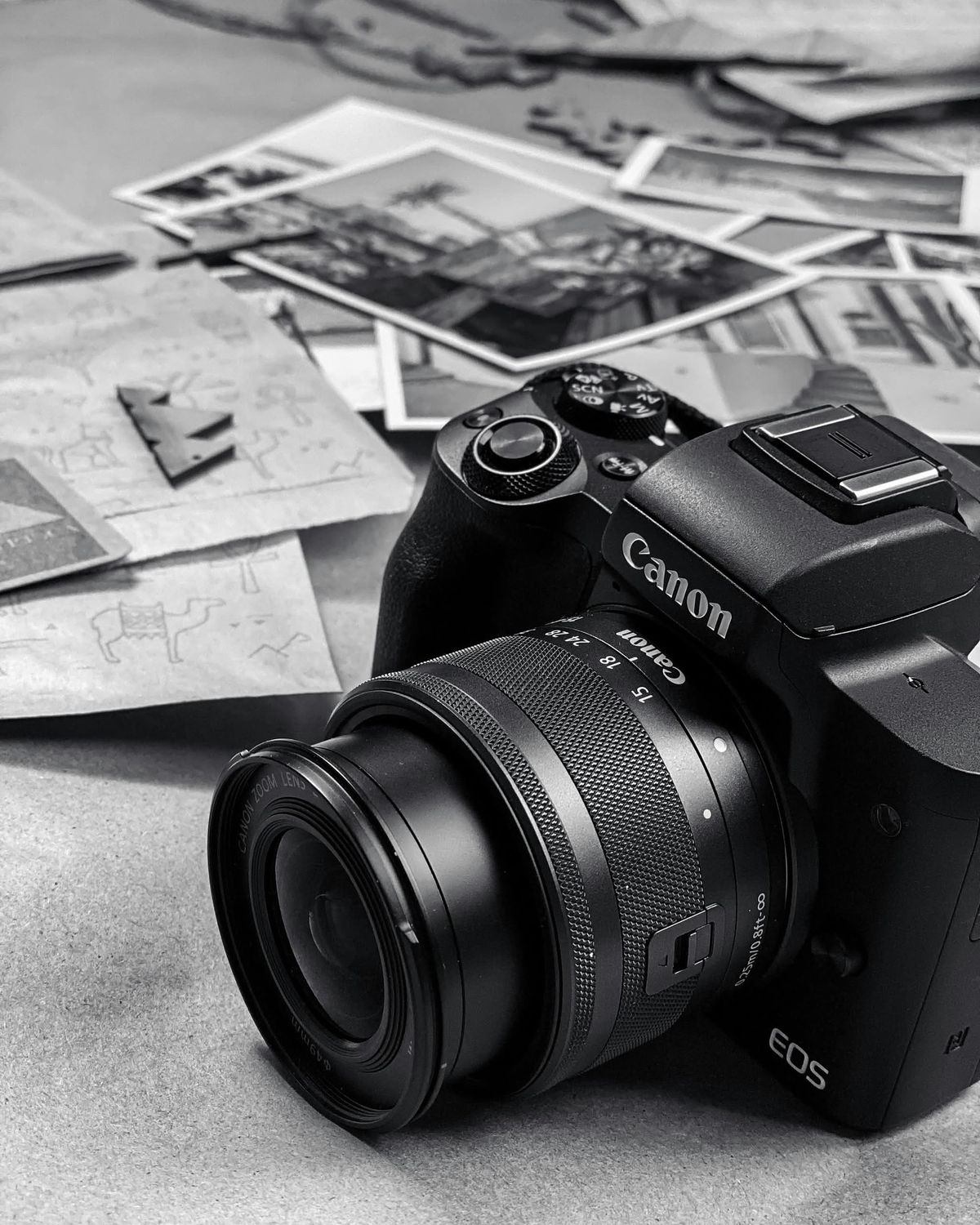 🖼️ آموزش عکاسی؛ تاریخچه، سبکها و اصول اولیه برای عکاسان تازهکار