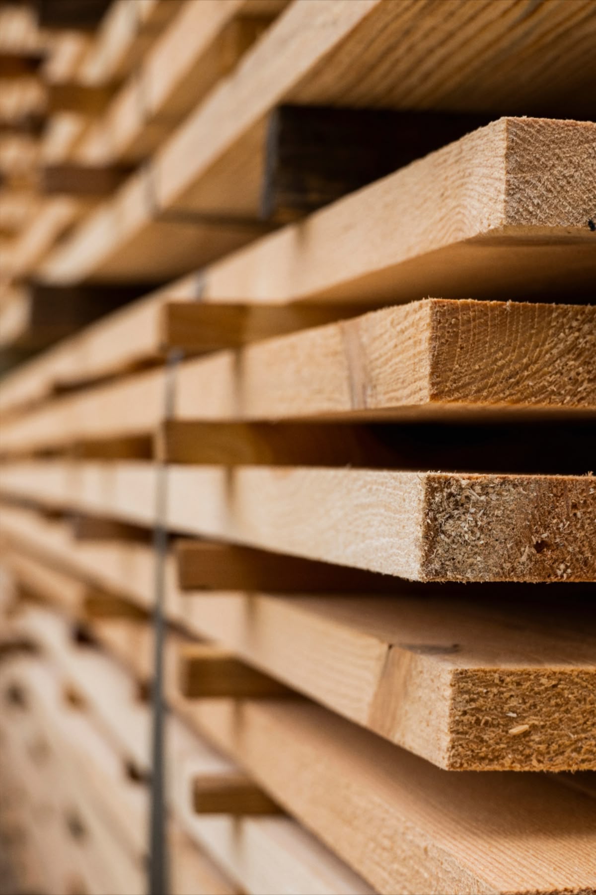 بهترین چوب برای نجاری کدام هست؟