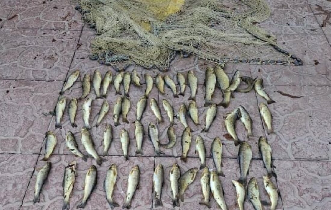 دستگیری صیاد متخلف در پارک ملی لار