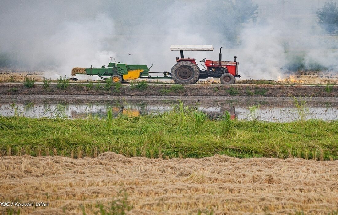 بیش از ۹۰ درصد مناطق روستایی به کشاورزی اختصاص دارد