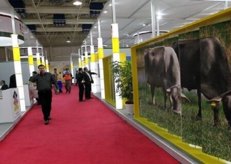 برگزاری اولین نمایشگاه نوآوری دام و طیور اینوفارم
