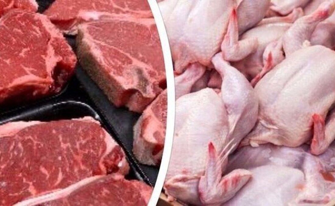 وزیر جهاد کشاورزی: با کاهش دما، کسری تولید مرغ به زودی جبران خواهد شد