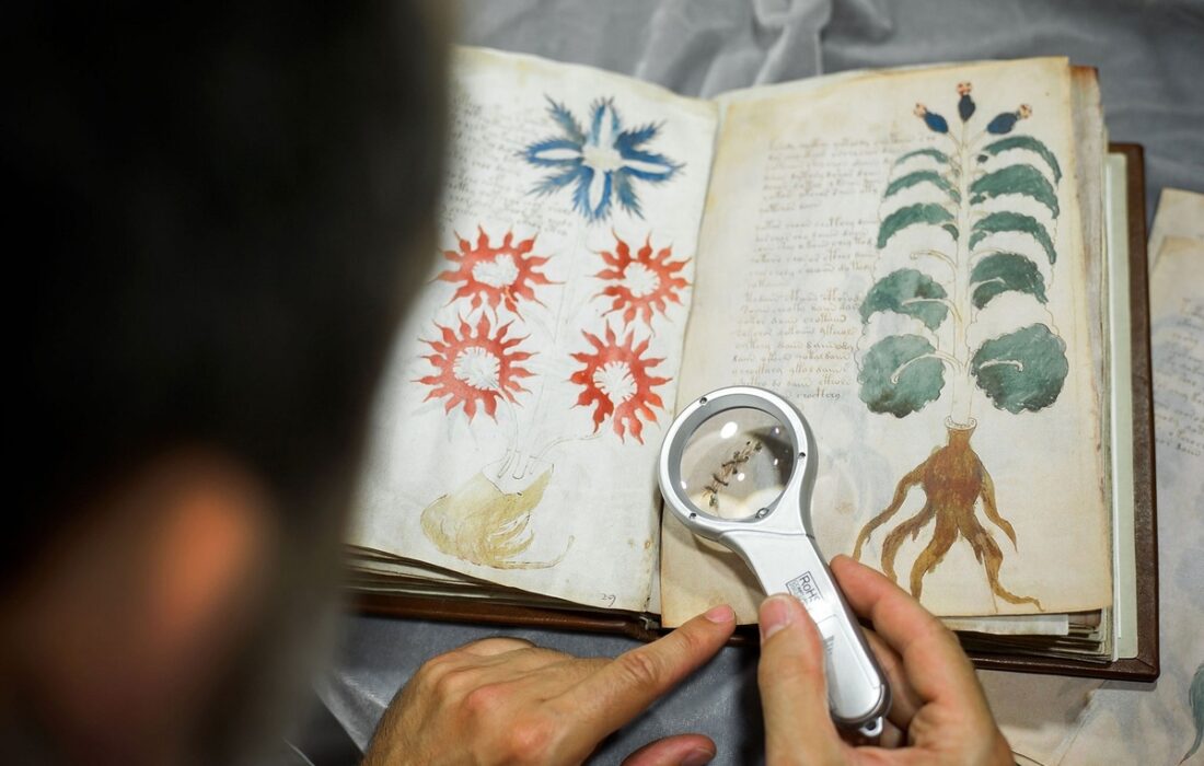 راز ۵۰۰ ساله؛ نسخه خطی وینیچ، کتابی که با کلمات بیگانه نوشته شده است(+فیلم و عکس)