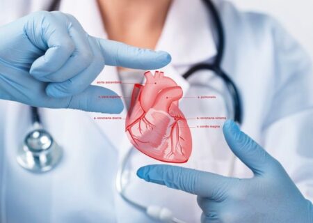 ❤️‍🩹 قلب و عروق؛ همه چیز درباره سلامت قلب و دستگاه گردش خون