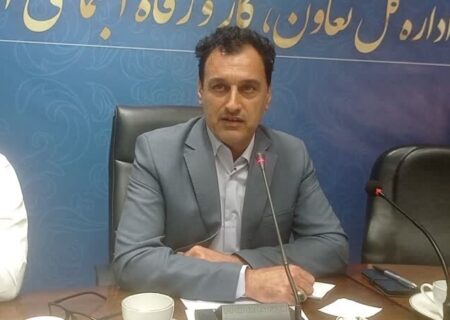 گلستان یکی از پنج استان برتر در صادرات تعاونی‌ها