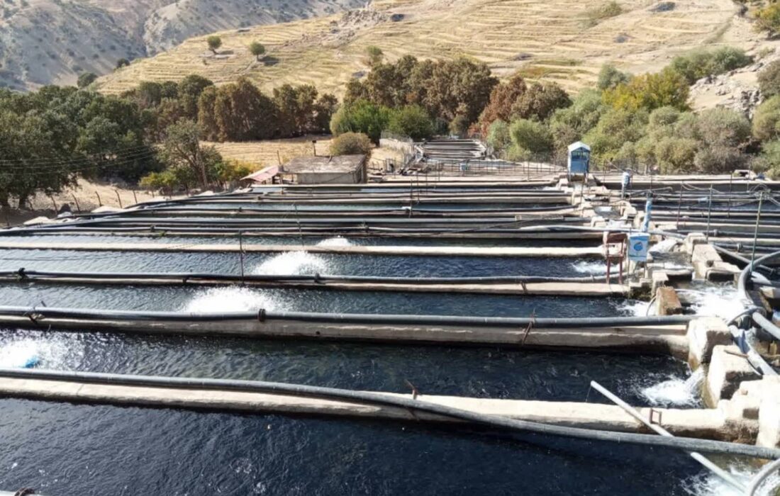 بهره برداری از ۳ طرح شیلاتی در چهارمحال و بختیاری