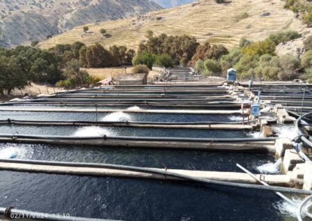 بهره برداری از ۳ طرح شیلاتی در چهارمحال و بختیاری