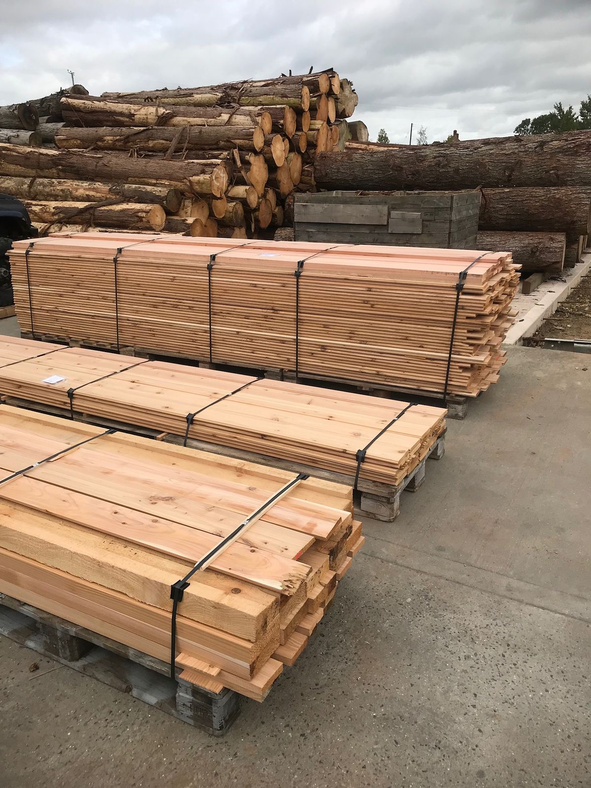 انواع چوب ارزان؛ راهنمای کامل انتخاب برای پروژههای ساختمانی و دکوراسیون