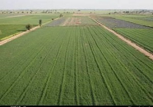 همدان: انفجار 800 هکتاری ظرفیت تولید، پیشران رشد اقتصادی در یک سال!