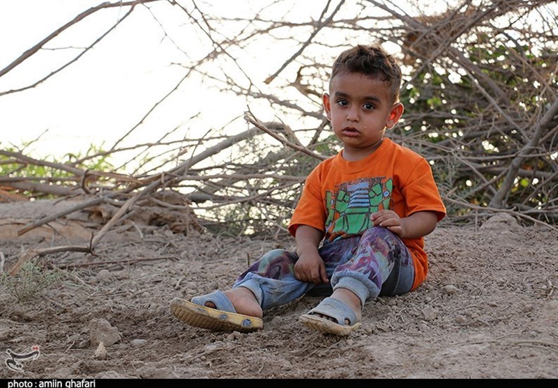 سرانی، بیابانزدا: راهنمای جامع نوشیدن و تشنگیزدایی 💧🌵