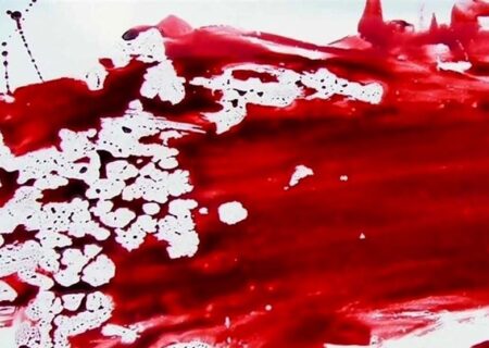 قتل خلافکار افغان با ضربات چاقو؛ شرور معروف شهر ری دستگیر شد