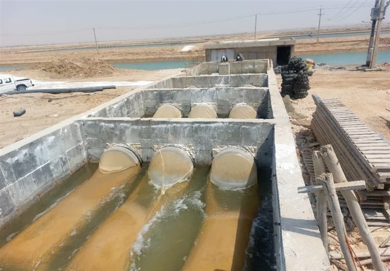 آغاز طرح پایلوت کنترل بیماری AHPND در مزارع میگو استان بوشهر: گام نوین برای سلامت زیستمحیطی و بهرهوری صنعت میگو