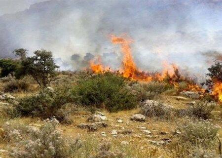 شناسایی عاملان آتش‌سوزی عمدی در جنگل‌های بانه: راهنمای گام‌به‌گام شواهد، روش‌ها و پیامدهای قانونی