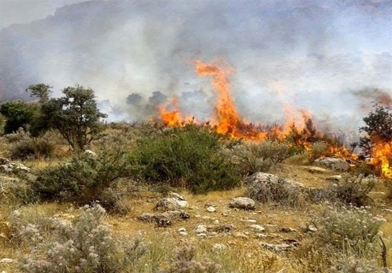 شناسایی عاملان آتشسوزی عمدی در جنگلهای بانه: راهنمای گامبهگام شواهد، روشها و پیامدهای قانونی