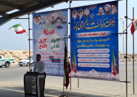 رونق بی‌سابقه در شیلات بوشهر: ظرفیت پرورش ماهی به مرز ۱۶ هزار تن رسید!