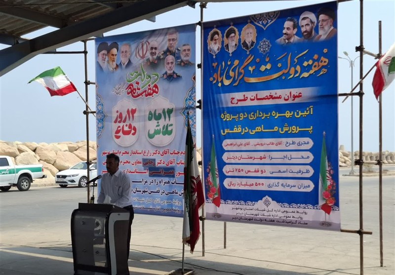 رونق بیسابقه در شیلات بوشهر: ظرفیت پرورش ماهی به مرز ۱۶ هزار تن رسید!