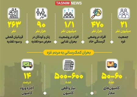 اینفوگرافیک: آمار ناامنی غذایی و سوءتغذیه شدید در غزه — بحران انسانی که جهان را درگیر کرده است