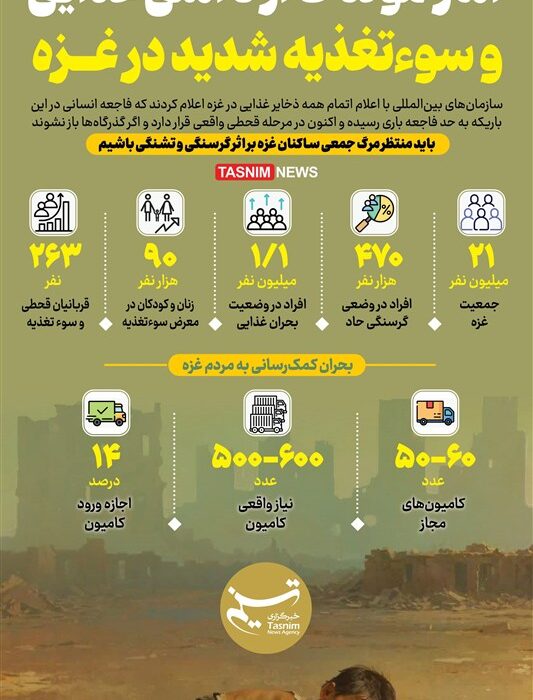 اینفوگرافیک: آمار ناامنی غذایی و سوءتغذیه شدید در غزه — بحران انسانی که جهان را درگیر کرده است