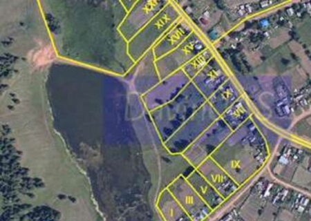 سنددار شدن 74 درصد اراضی کشاورزی گلستان؛ گامی بزرگ در تثبیت مالکیت زمین‌های کشاورزی