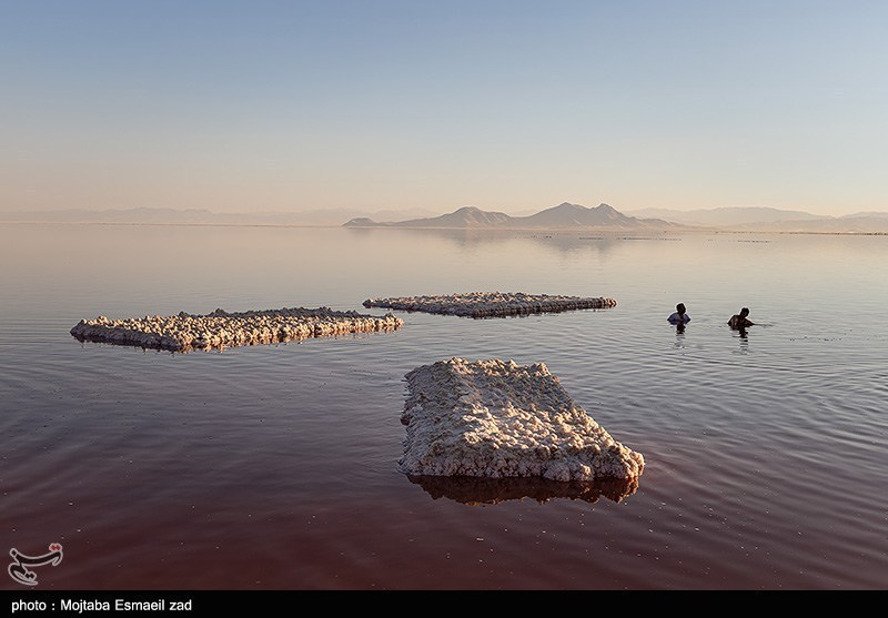 نیازمند توجه علمی به محیط زیست خرمشهر: گامهای پژوهشی برای حفاظت و توسعه پایدار