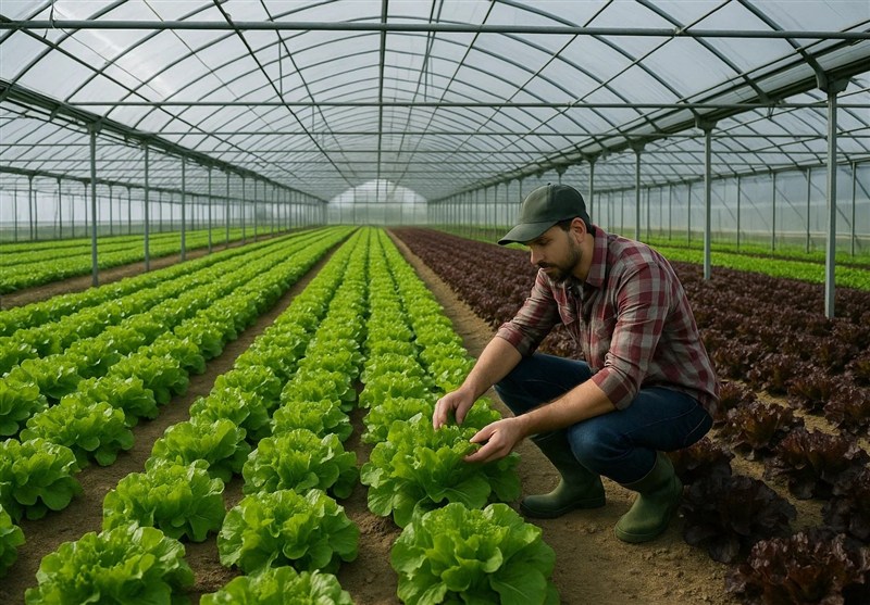 لرستان: افتتاح همزمان 33 طرح کشاورزی در هفته دولت