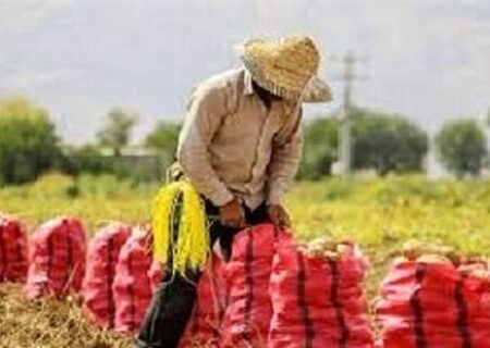 وقتی ادغام به اعتراض تبدیل می‌شود: تحلیل پیامدها در بازار و جامعه