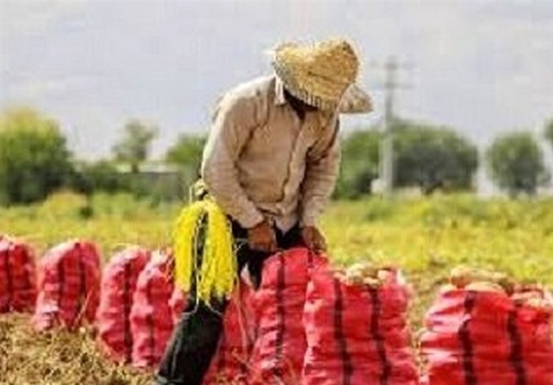 وقتی ادغام به اعتراض تبدیل میشود: تحلیل پیامدها در بازار و جامعه