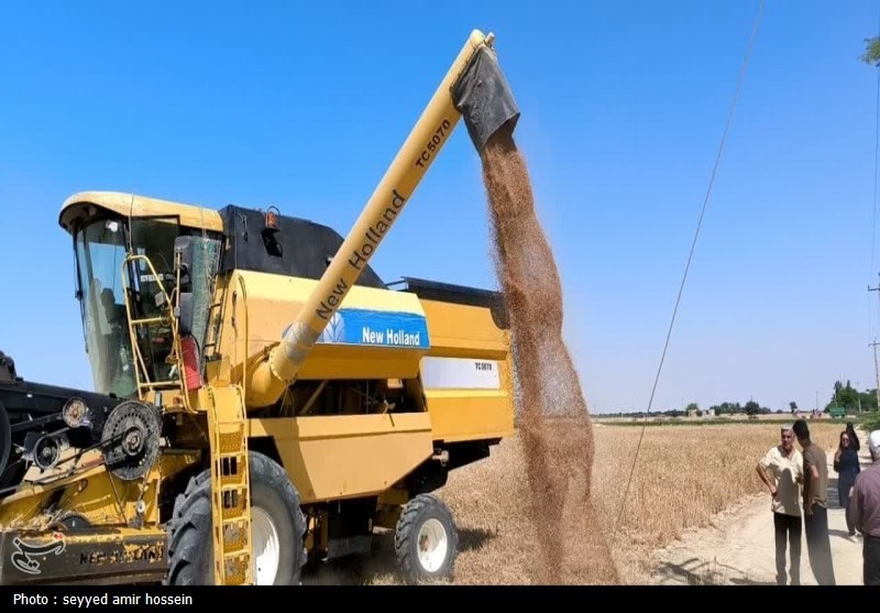 42 درصد سهم میامی در تحویل گندم به مراکز دولتی استان سمنان