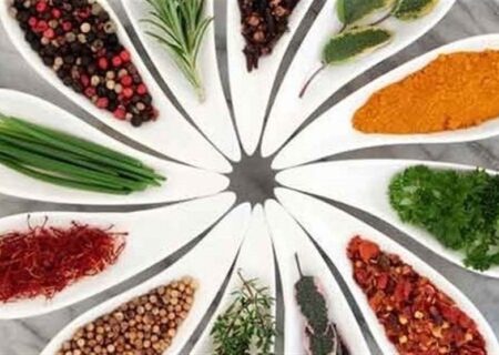 اقتصاد مقاومتی با طعم گیاهان دارویی: کشت دارویی، کلید عبور از خشکسالی