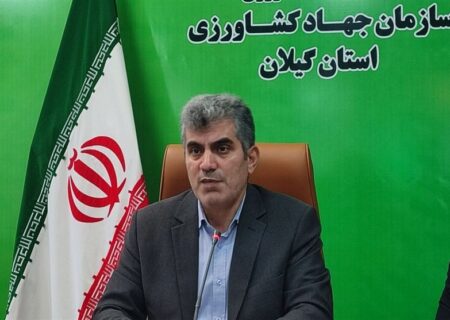نوسانات شدید قیمت برنج: موج نگرانی عمومی و اثرات اقتصادی بر خانوارها