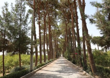 باغ تالار شاهدیه؛ جاذبه‌ای نوین در مسیر گردشگری یزد + تصاویر دیدنی