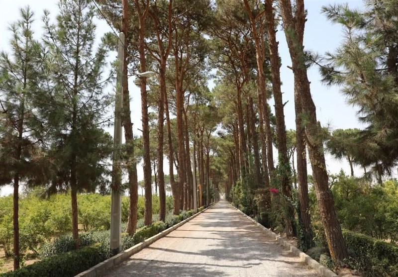 باغ تالار شاهدیه؛ جاذبهای نوین در مسیر گردشگری یزد + تصاویر دیدنی