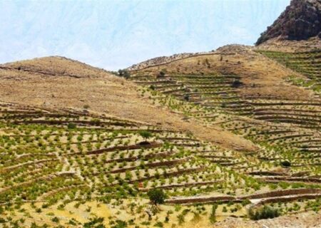 طرح تامین آب پایدار برای ۱۰۰۰ هکتار اراضی شیب‌دار در چهارمحال و بختیاری