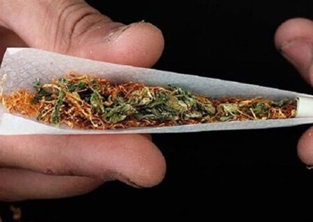 توهم‌زایی گل در ایران 10برابر اروپاست/کشف 450 کیلو شیشه