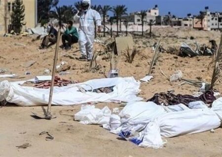 تکرار فاجعه؛ حمله سگ‌ها به پیکر شهدای غزه / هشدار درباره تعطیلی بانک‌های خون