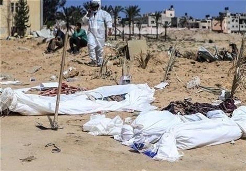 تکرار فاجعه؛ حمله سگ‌ها به پیکر شهدای غزه / هشدار درباره تعطیلی بانک‌های خون